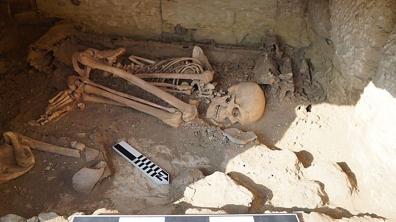 archaeologists unearth 4500-year-old ancient egyptian tomb with astonishing treasures