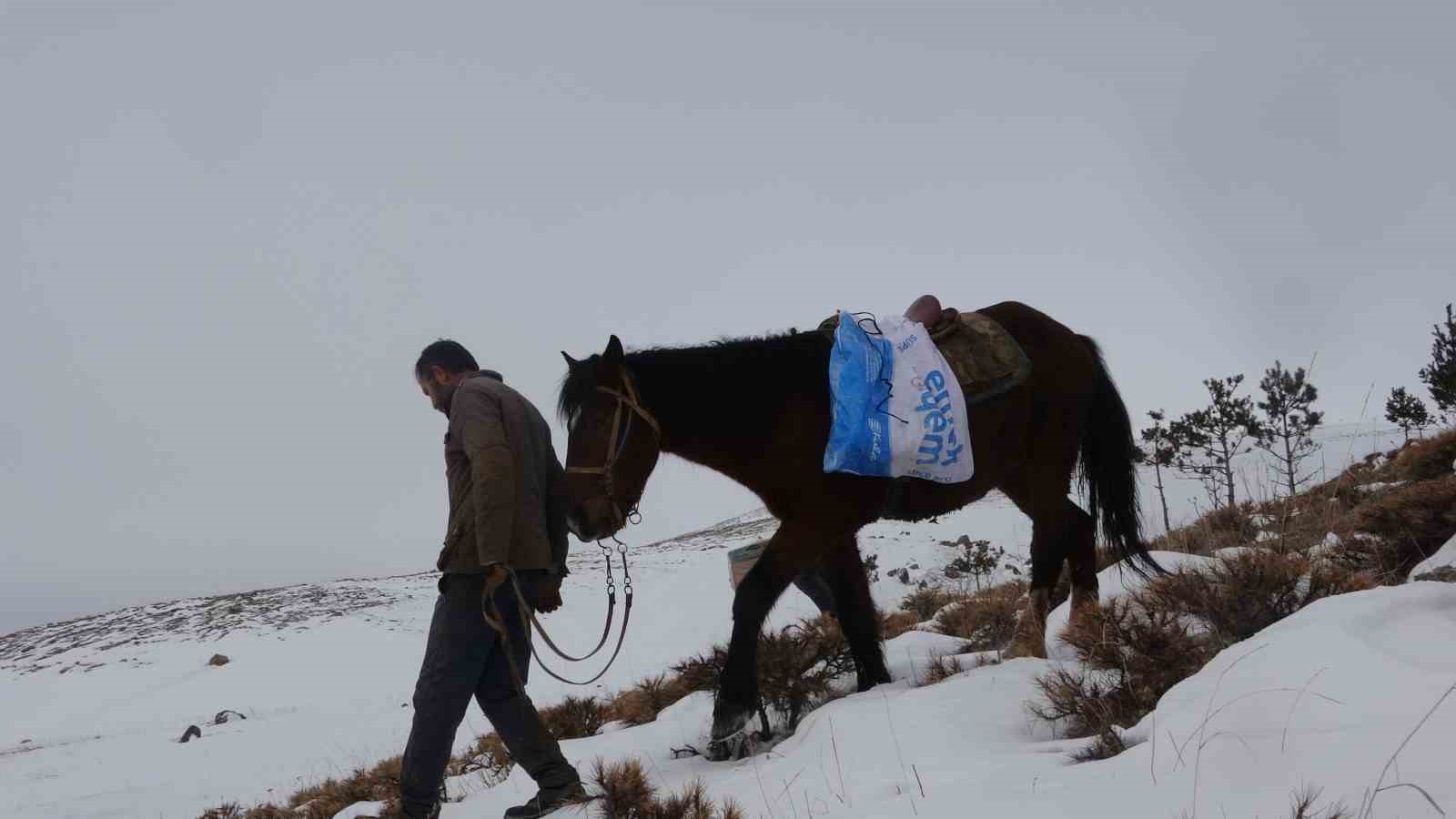 at sırtında yaban hayvanları için doğaya yem bırakıldı