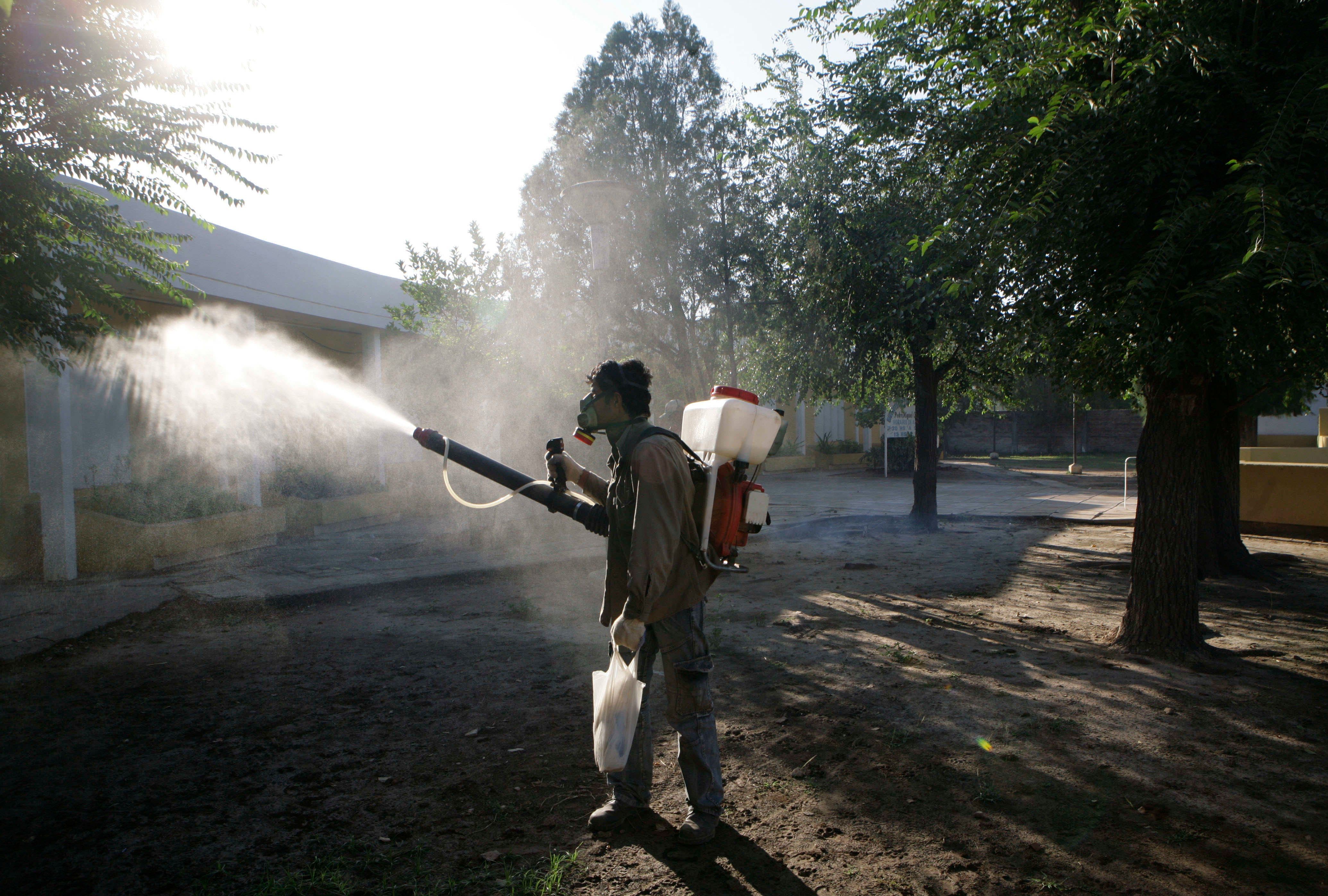 der klimawandel fördert die ausbreitung der dengue-krankheit. ein augenschein vor ort in argentinien