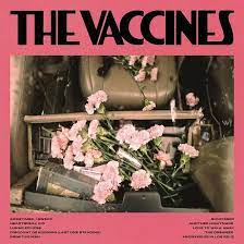 review: the vaccines :: „pick-up full of pink carnations“
