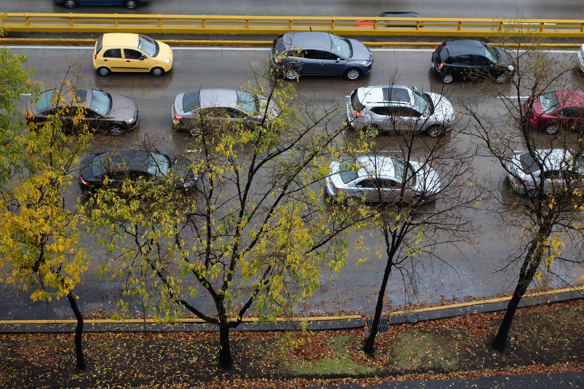 24 Things To Do With Your Leftover Christmas Tree