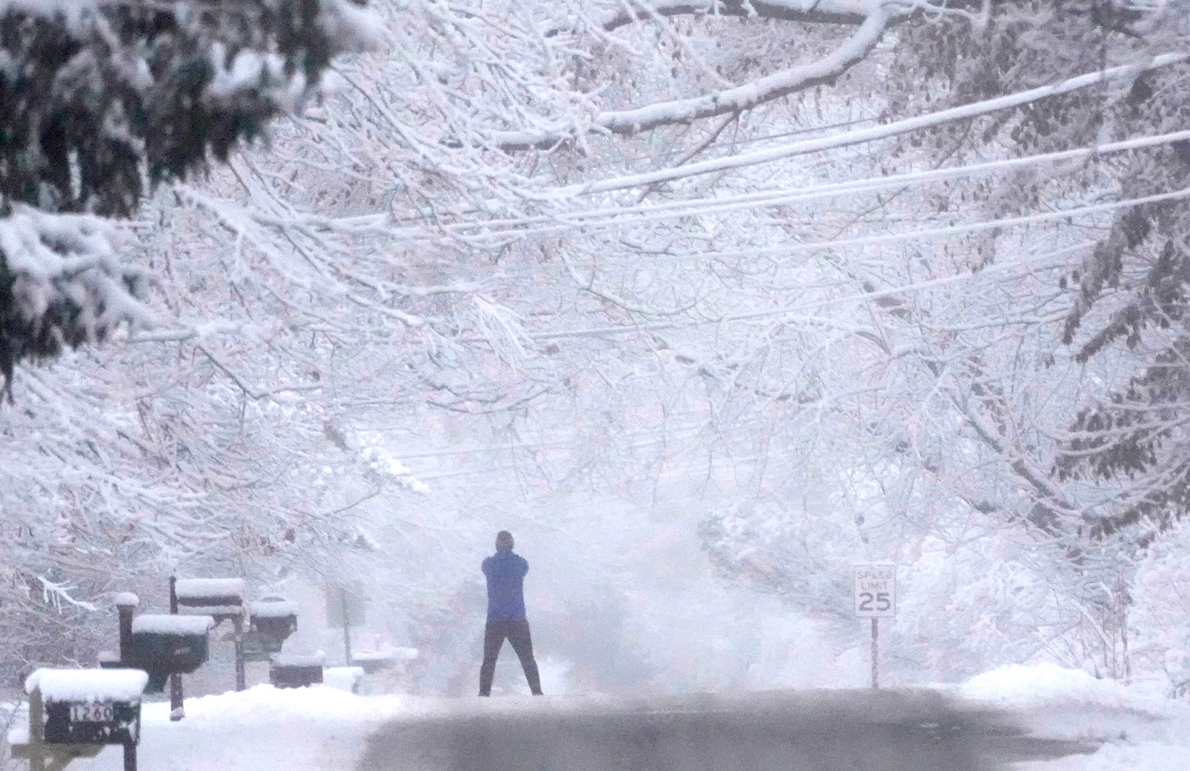 Anchorage Hit With Over 100 Inches Of Snow − So Heavy It Weighs 30 ...