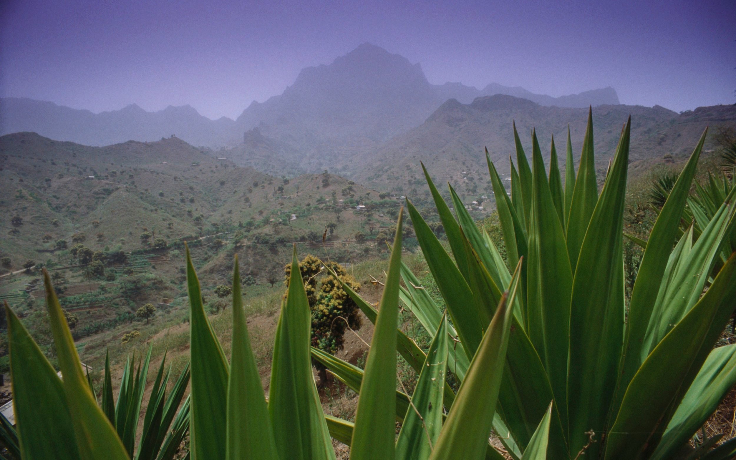 Cape Verde Becomes Third African Country Declared Free Of Malaria