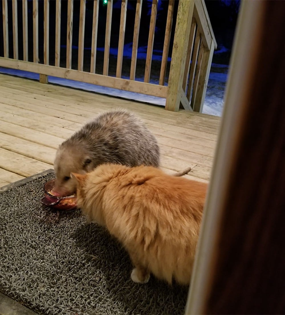 Why Convection Baking Isn't Always The Best Bet For Cakes