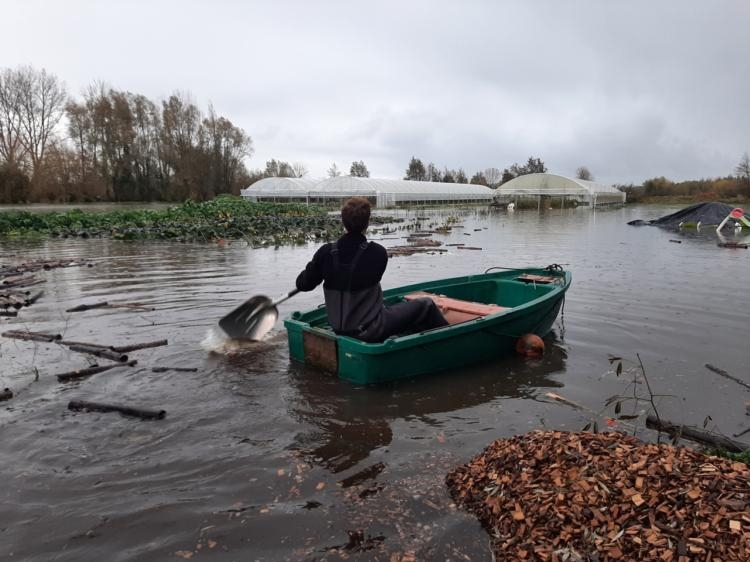 inondations : dans le pas-de-calais, les aides ne suffisent pas face aux dégâts agricoles