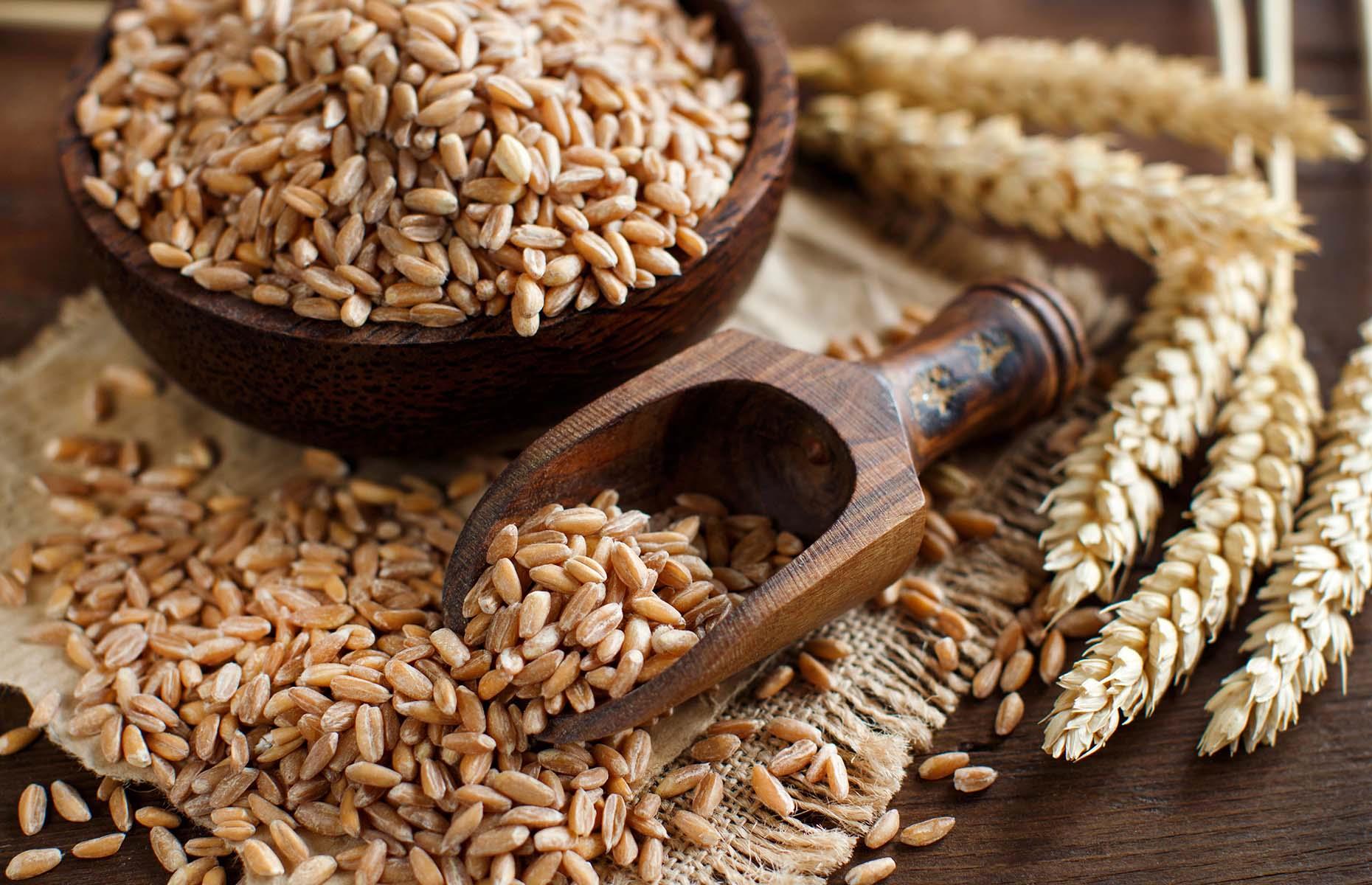 30 delicious high-protein foods that aren't meat