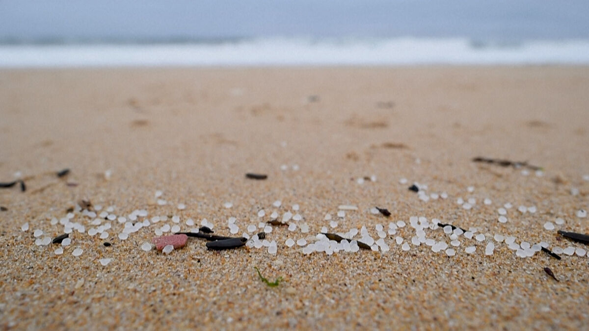 vidéo. « c’est une catastrophe » : les plages du nord-ouest en espagne infestées de micro-billes de plastique