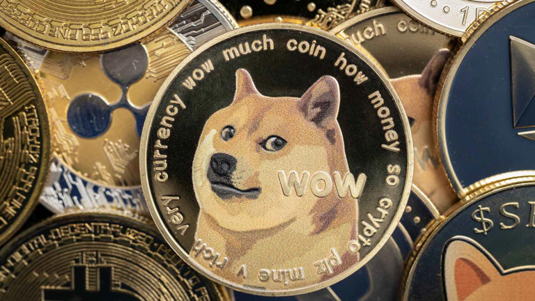 Dog Coin? Maga Coin? Which Cryptocurrency’s Should You Be Taking Seriously?