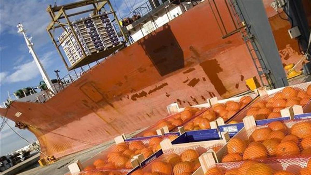 el freno del consumo y la llegada de la naranja egipcia alarman a los productores