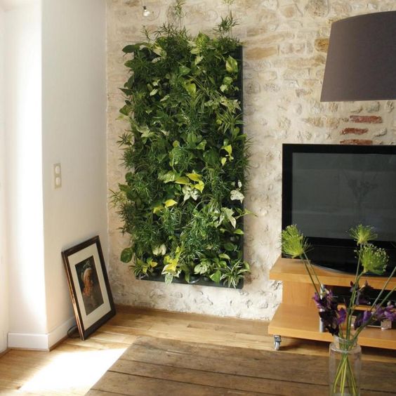 proměňte stěny v zelené oázy: odměnou bude blízkost přírody a výjimečný domov