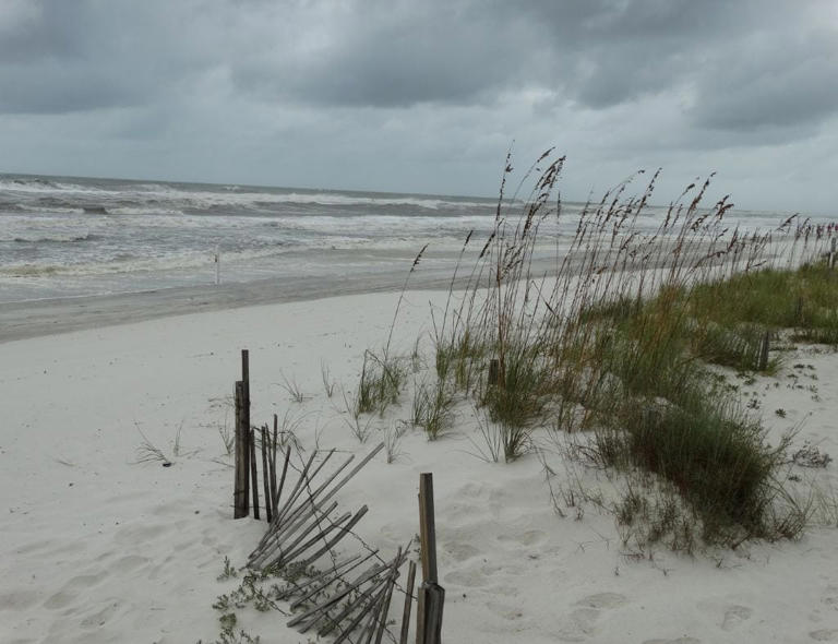LOOKING FOR THE BEST THINGS TO DO IN GULF SHORES AND ORANGE BEACH WHEN IT RAINS? 🌧️🏖️ Rain in Gulf Shores and Orange Beach may not be your ideal weather, and that’s okay! 🌦️ As a local, I know that rainy days can be a bit of a downer, but there’s no need to let...
