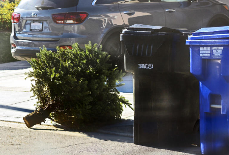 Tree recycling concludes this weekend