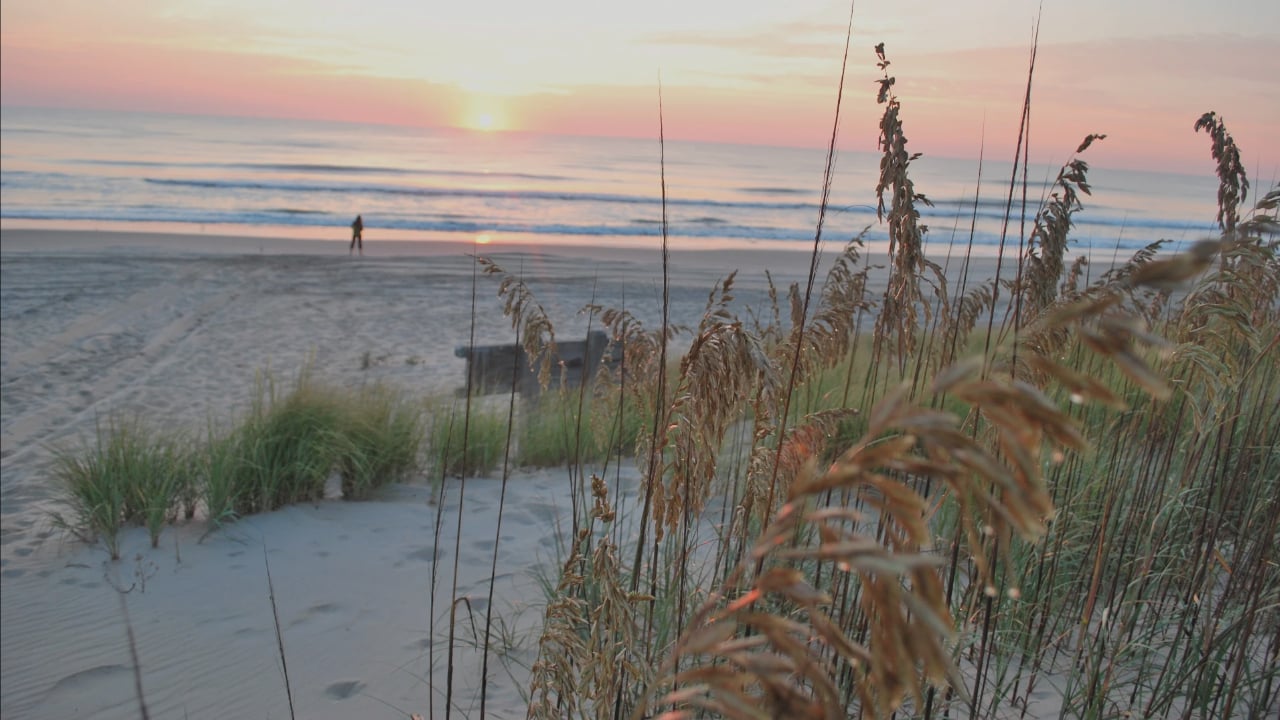 <p>If you’re looking for an adventure on foot, check out the Virginia Beach hiking trails. The area has several wildlife refuges and state parks to explore. <a href="https://www.visitvirginiabeach.com/explore/outdoor-activities/parks/first-landing-state-park/" rel="nofollow noopener">First Landing State Park</a> and <a href="https://www.visitvirginiabeach.com/meetings/blog/post/explore-false-cape-state-park/" rel="nofollow noopener">False Cape State Park</a> offer designated areas for hiking and miles of scenic sandy beaches to explore. There are over 20 miles of hiking trails between the two parks.</p><p>Tourists can even earn rewards for visiting Virginia State Parks by participating in the Trail Quest program. Log into the State Park Adventures app and record your visit. The app keeps track of the parks you visit. You’ll earn five unique collectible pins. Receive one for your first park visit and then more after visiting 5, 10, 20, and all parks completed. It’s a program open to all ages.</p>