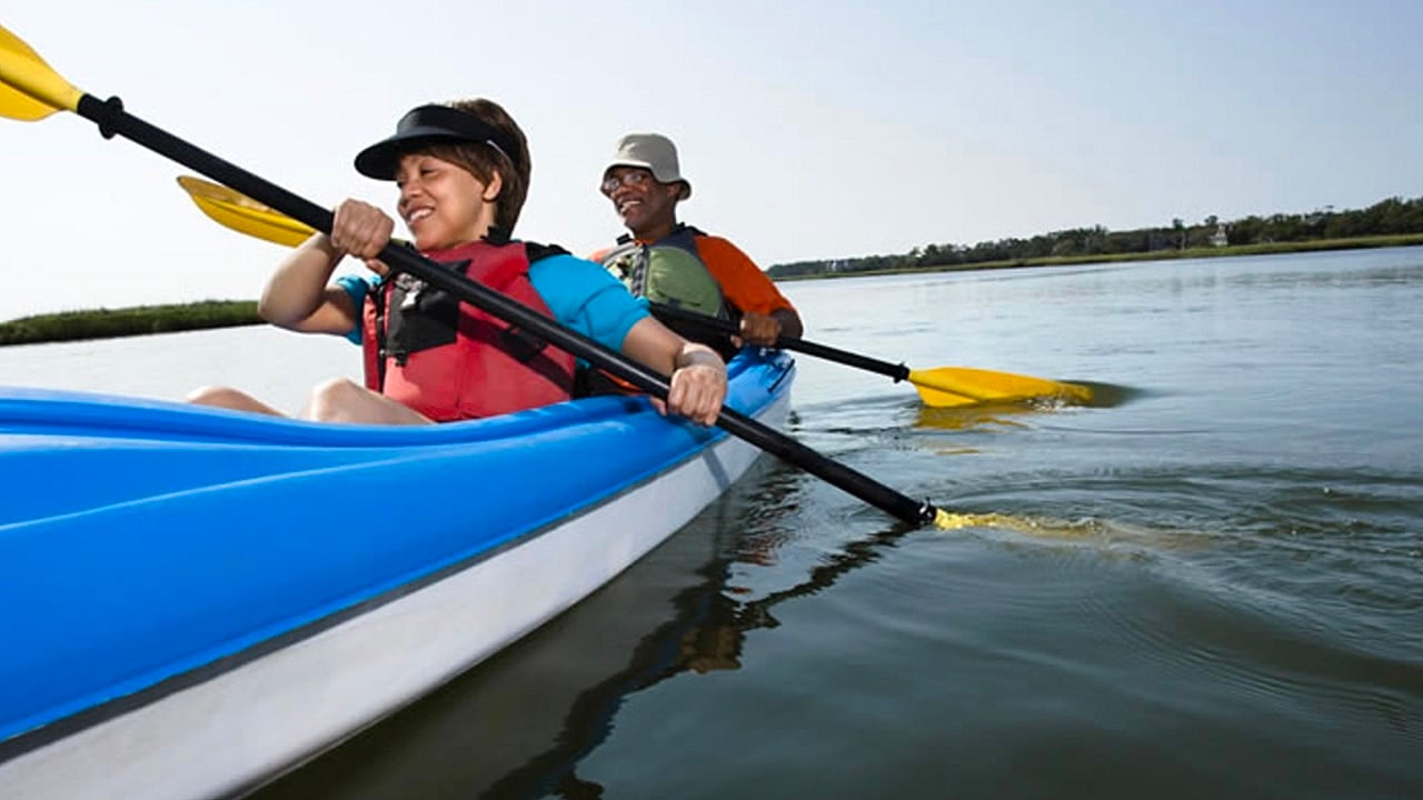 <p>If you’re a marine animal lover, one of the best things to do in Virginia Beach is to kayak amongst the dolphins. The tour is only available from late April through October. Take it to the next level and see dolphins up close. <a href="https://www.kayaknaturetours.net/" rel="nofollow noopener">Dolphin Kayak Tours</a> allows groups to paddle calm water areas to see groups of dolphins for the ultimate experience. All levels of kayaking experience are welcome, and the tour includes all the gear you need. </p>