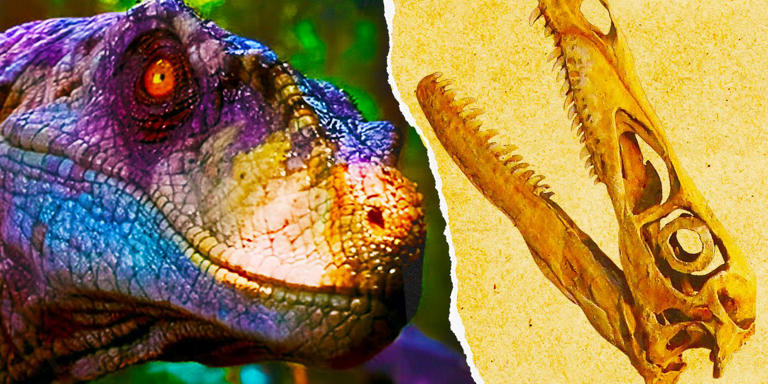 9 Jurassic Park Dinosaurs That Were Wildly Inaccurate Compared To Real Life 