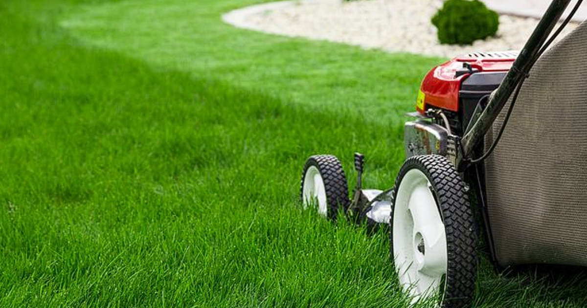 the optimal time to mow your lawn