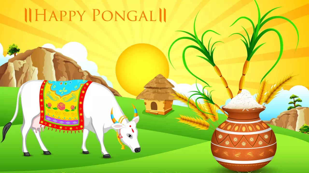 pongal 2024: 7 dishes that are a must-have on pongal