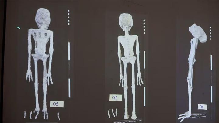 mumi alien yang misterius muncul di peru ternyata boneka humanoid