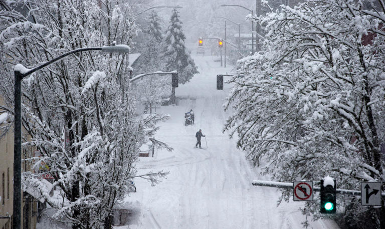 Ice storm wreaks havoc in Eugene, Springfield, Lane County, surrounding ...