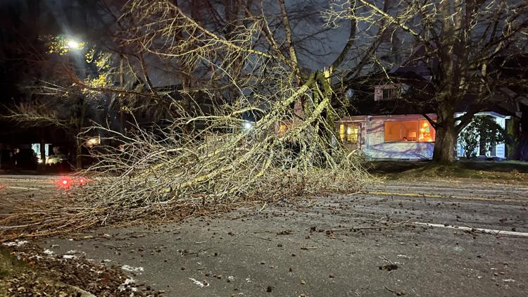 Tens Of Thousands Without Power In Portland Metro Area