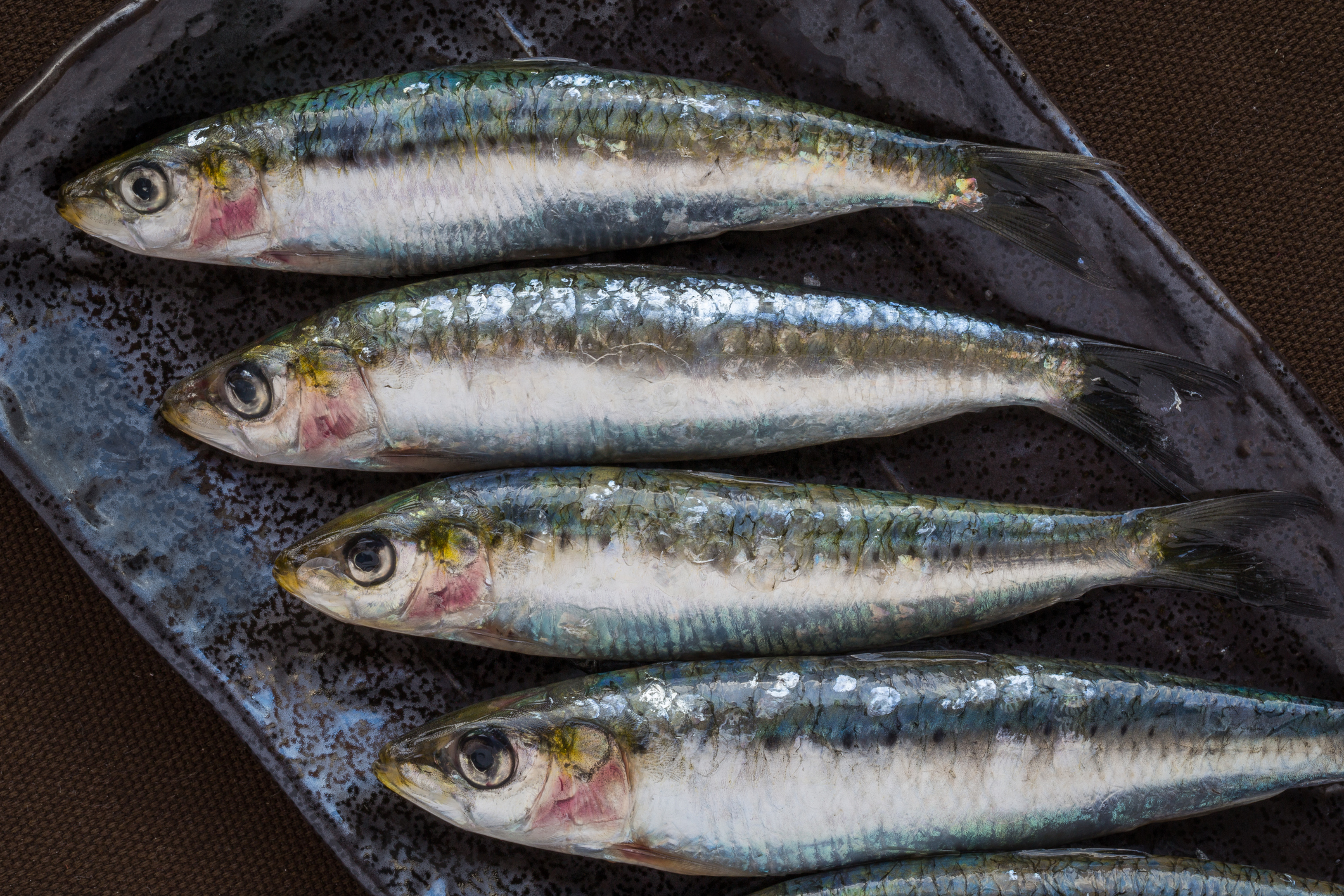 pescado blanco o azul: una prestigiosa médica aclara las diferencias y cuál debemos consumir más