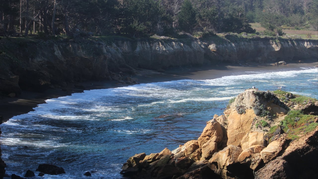 <p>This coastal scenic loop hiking trail is near <a href="https://wealthofgeeks.com/weekend-in-carmel-by-the-sea/" rel="nofollow noopener">Carmel-by-the-Sea</a>. Binoculars might come in handy here. Hikers may spot various wildlife, including sea lions, whales, and shorebirds. Highlights include Whaler’s Cove and Bluefish Cove. Parking is $10. If the lot is full, hikers can park alongside Highway 1 and walk into Point Lobos State Natural Reserve. </p>