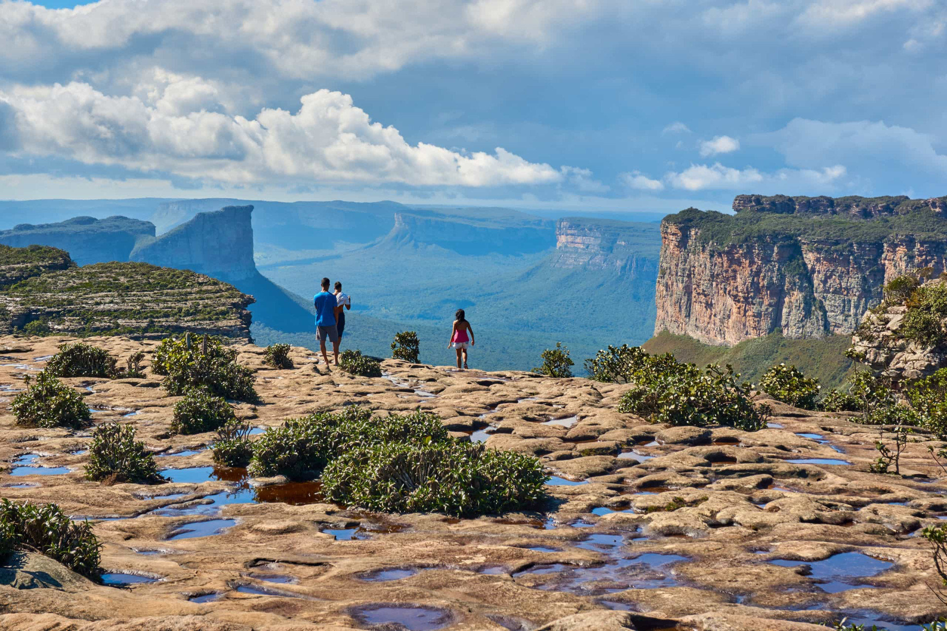 Discover The Magnificent Beauty Of Brazil's Plateaus