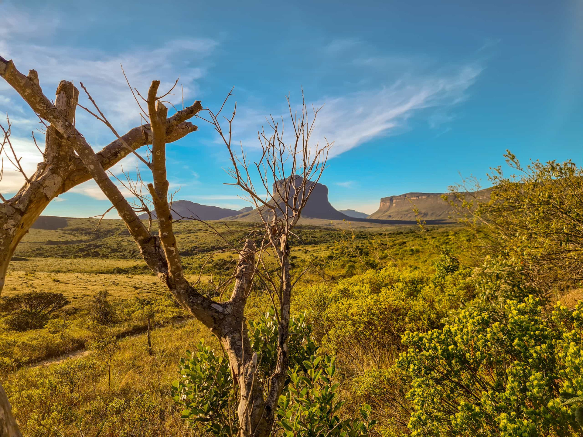 Discover the magnificent beauty of Brazil's plateaus