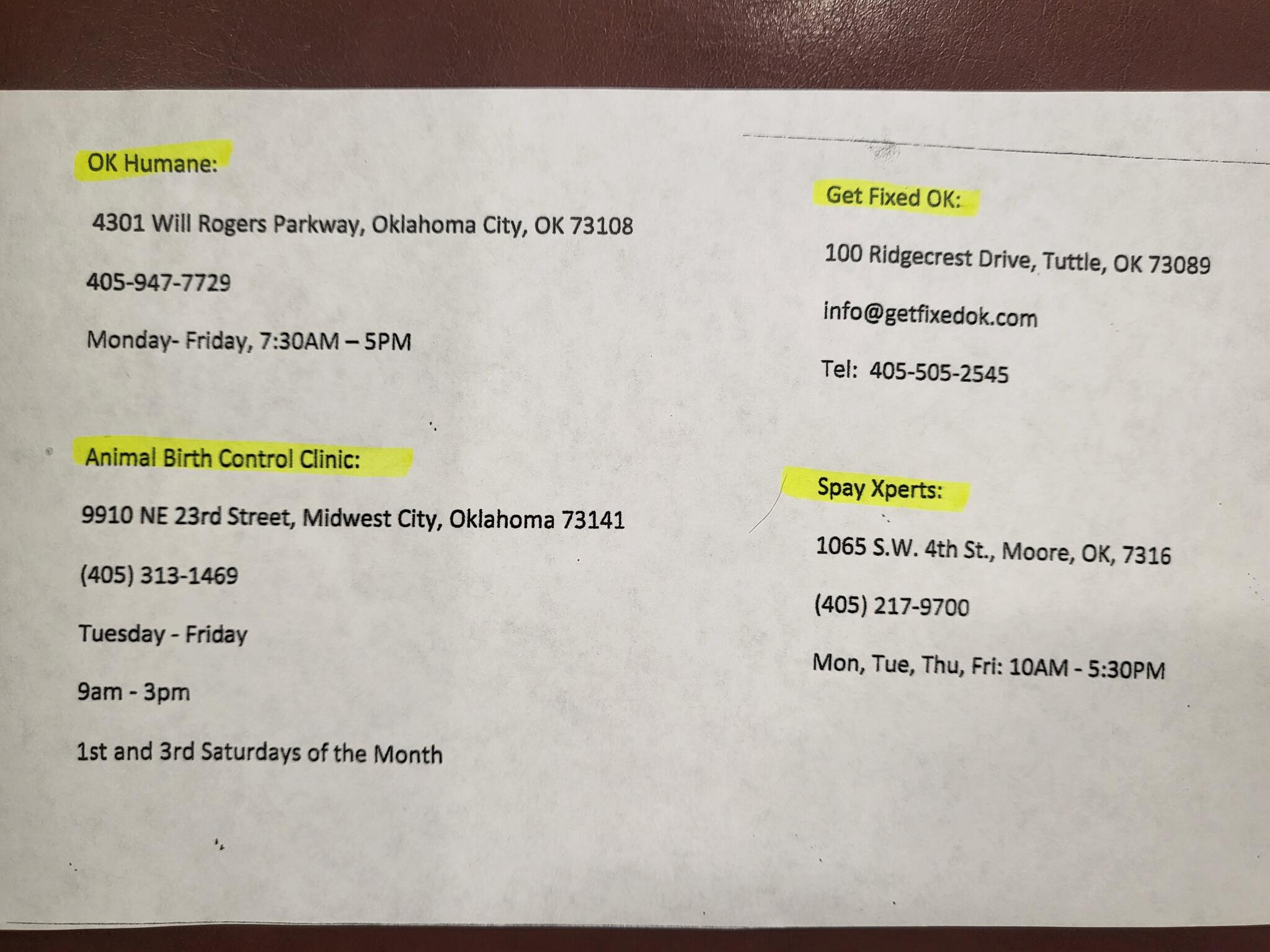 I Made A List Of Low Cost Spay Neuter Clinics Around The OKC Metro   AA1mWhdH.img