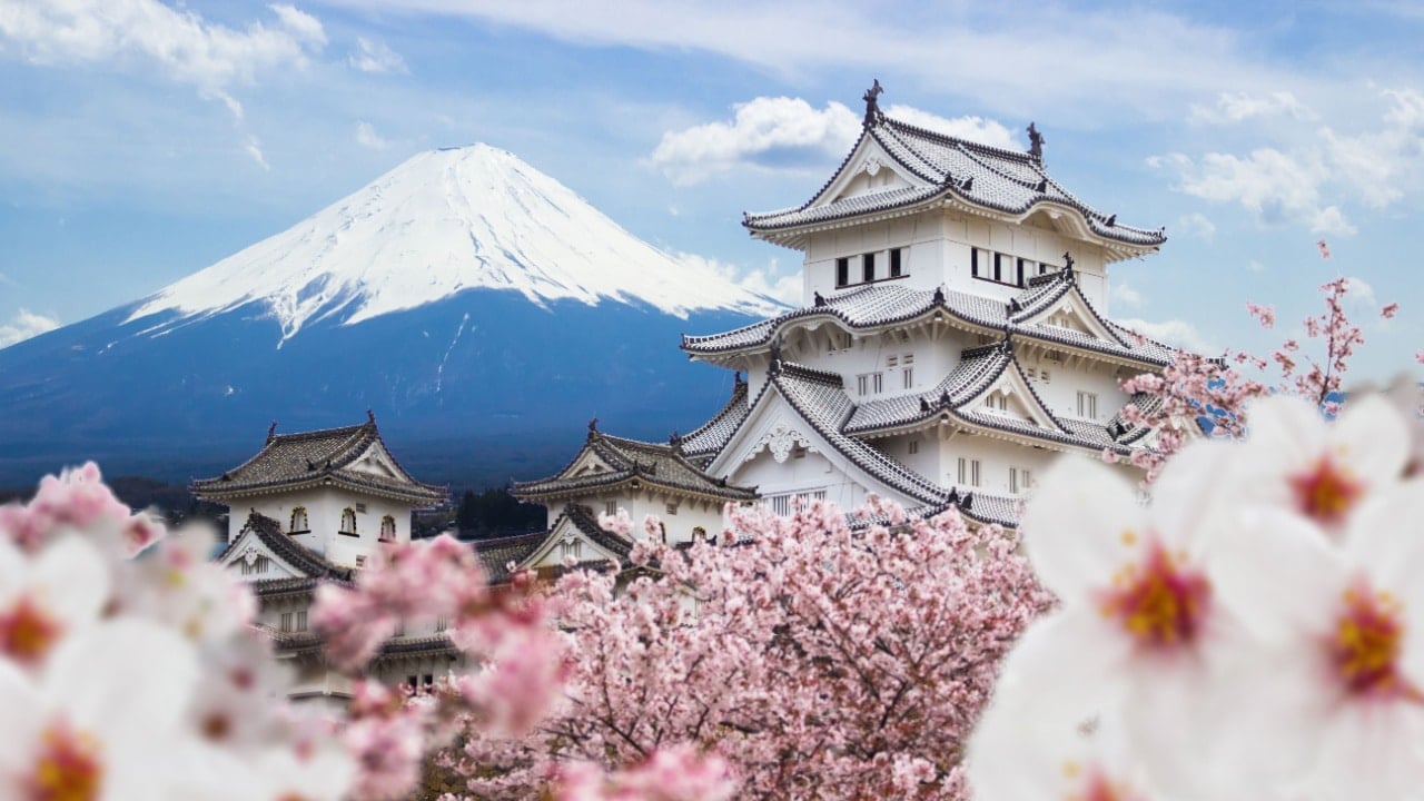 <p>Traveling is quite expensive, but if you’re visiting Japan, a round-trip ticket would only cost you as little as $600. While Japanese culture has gained popularity in recent years, there’s something about going to their homeland to experience it that makes it much more unique.</p><p>From their tea ceremonies and the geishas to the matcha-making process and cherry blossom trees, everything is so different from what we’re used to, which makes it even more fun.</p>
