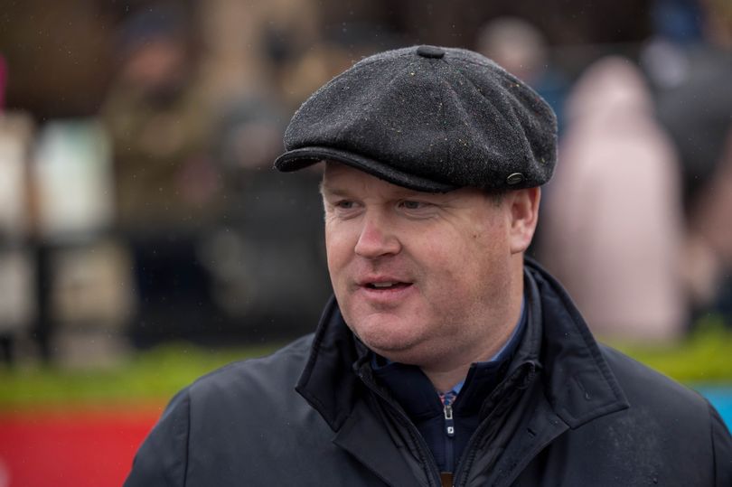 gordon elliott-trained horse dies after going wrong during race