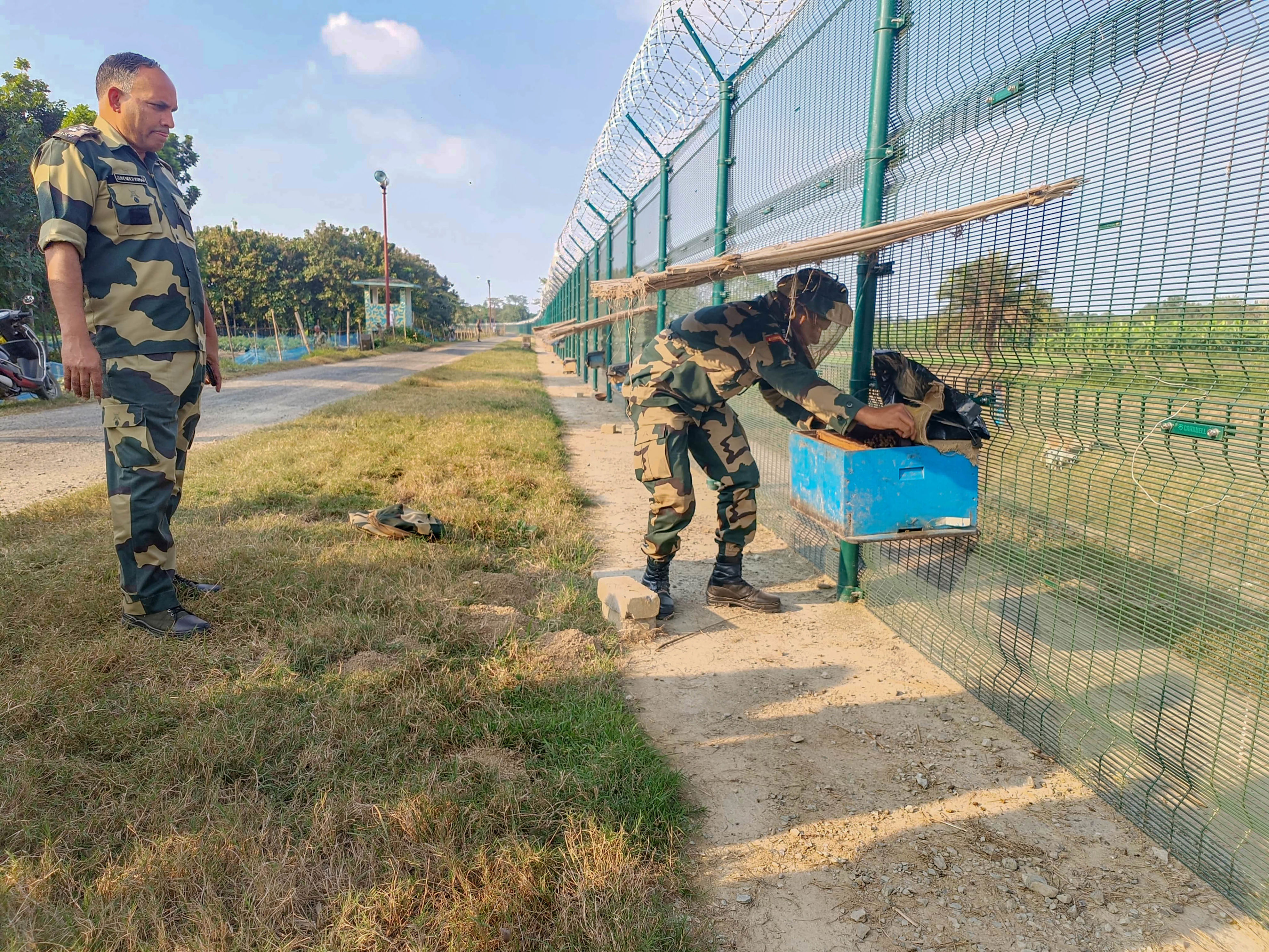 bee boxes, hedge of medicinal plants on india-bangla border to prevent smuggling