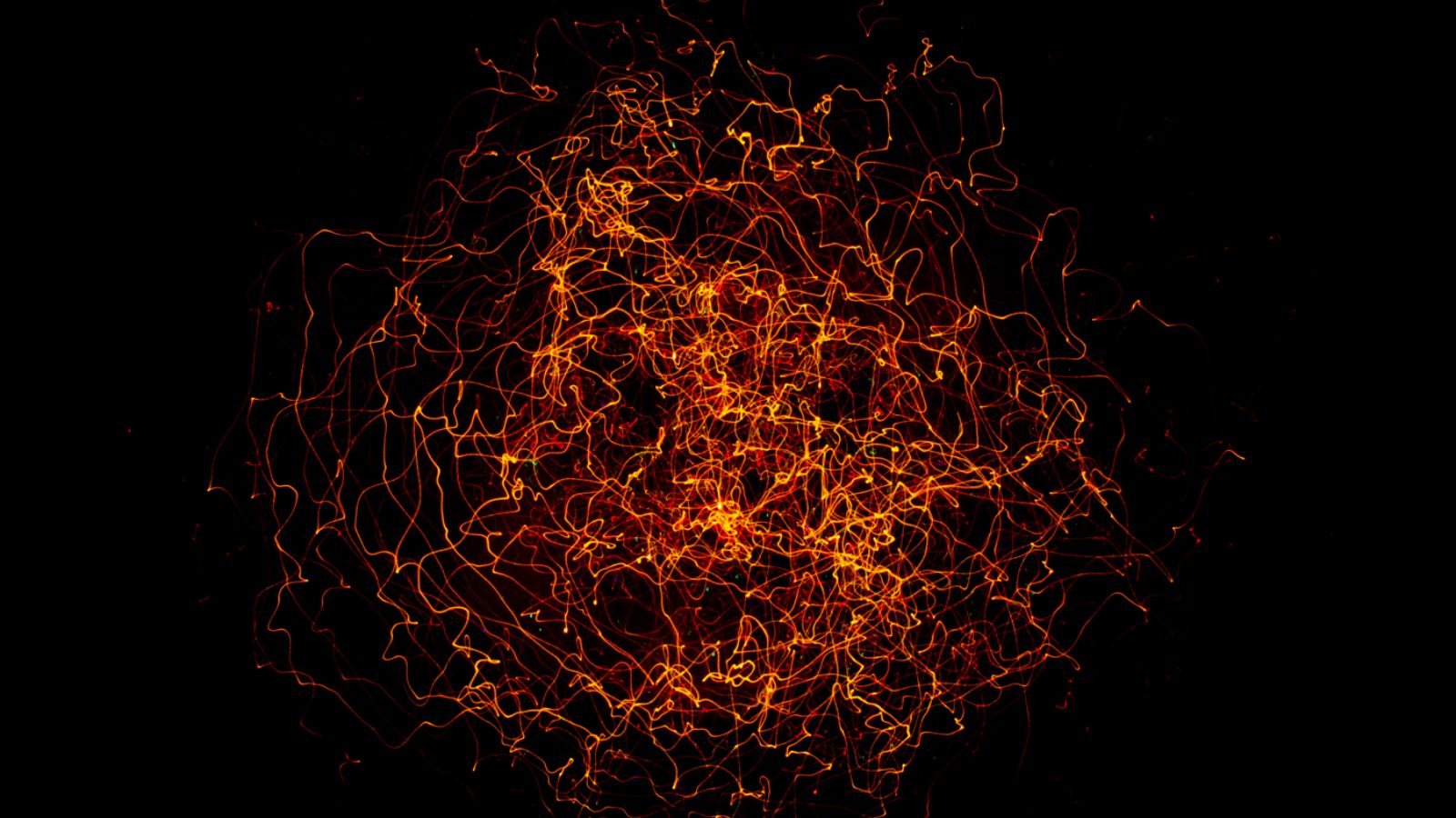 <p><span>Quantum entanglement, where particles become interconnected regardless of the distance separating them, is still a baffling phenomenon in quantum physics (</span><a href="https://physicsworld.com/a/quantum-entanglement-observed-in-top-quarks/"><span>Physics World</span></a><span>). Scientists have tried and failed to explain how particles can be so affected by others even after they are physically separated.</span></p>