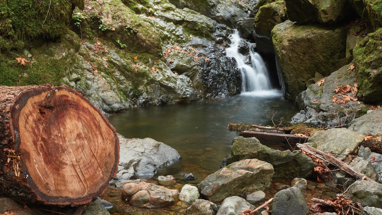 <p>The Cataract Falls Trail is an out-and-back hiking trail in Marin County with cascading waterfalls that are arguably the most beautiful after rainfall. The trailhead, located off Bolinas Fairfax Road, is easy to find. Day parking pass fees are $8 per vehicle. </p>
