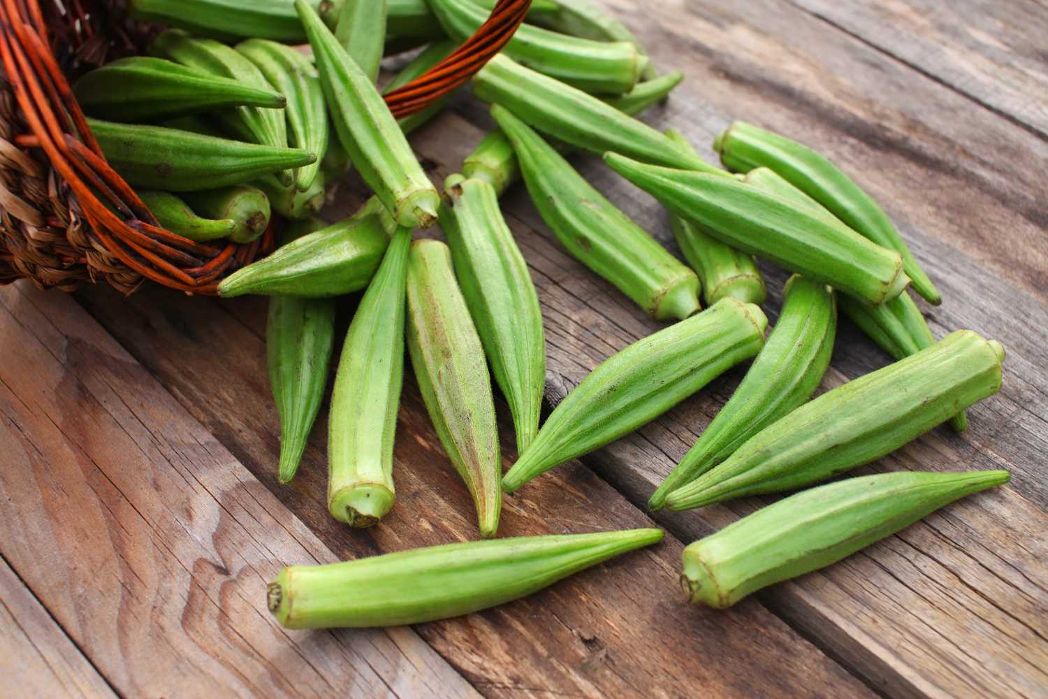 microsoft, what are the potassium and phosphorus contents of okra? a review by nutrition professionals