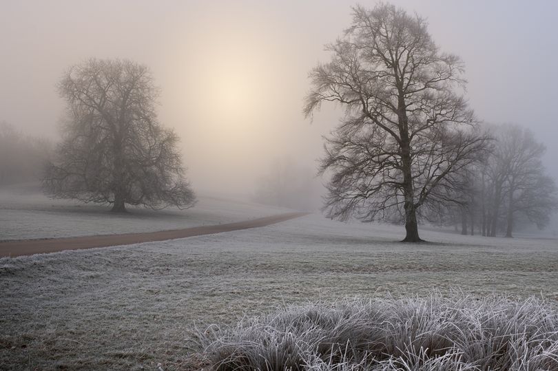 amber cold weather alert issued for leicestershire as -7c predicted