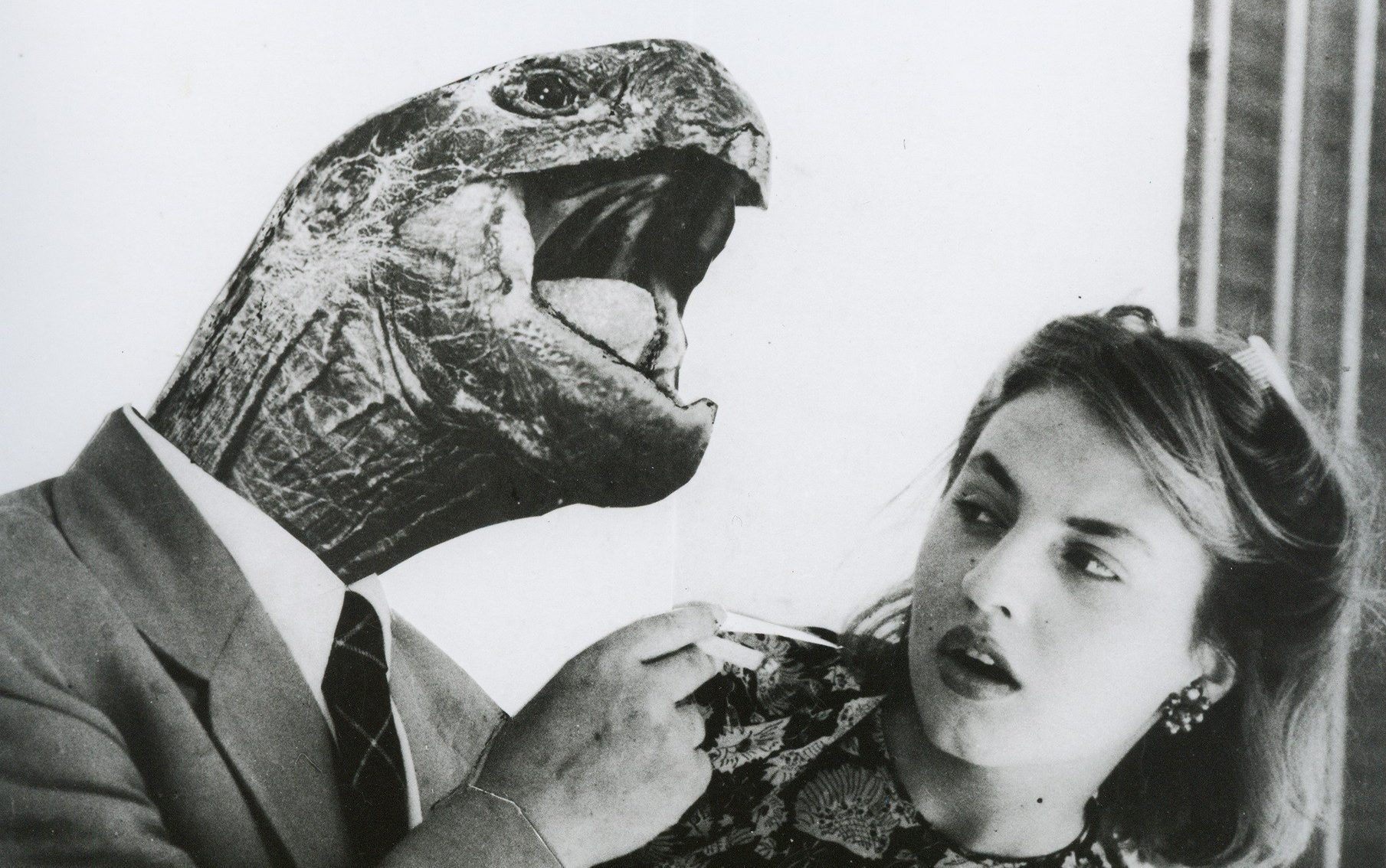 a woman as a lamp – and a man with a turtle’s head? welcome to the surreal world of grete stern