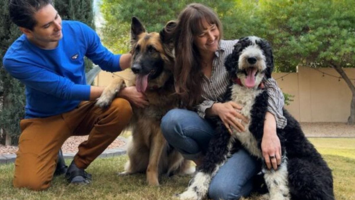 familie gaat op vakantie: bij thuiskomst vinden ze een dronken hondenoppas en hun verwaarloosde honden
