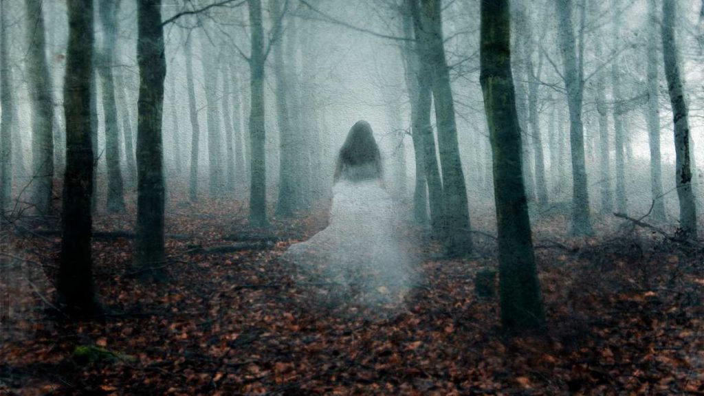 supuesto fantasma de mujer fue captado en un cementerio; espantó hasta los policías
