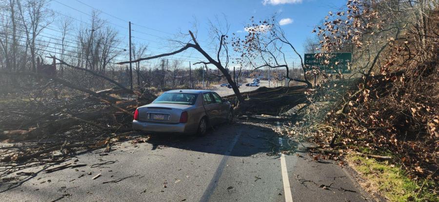 downed tree blocking road in harrisburg