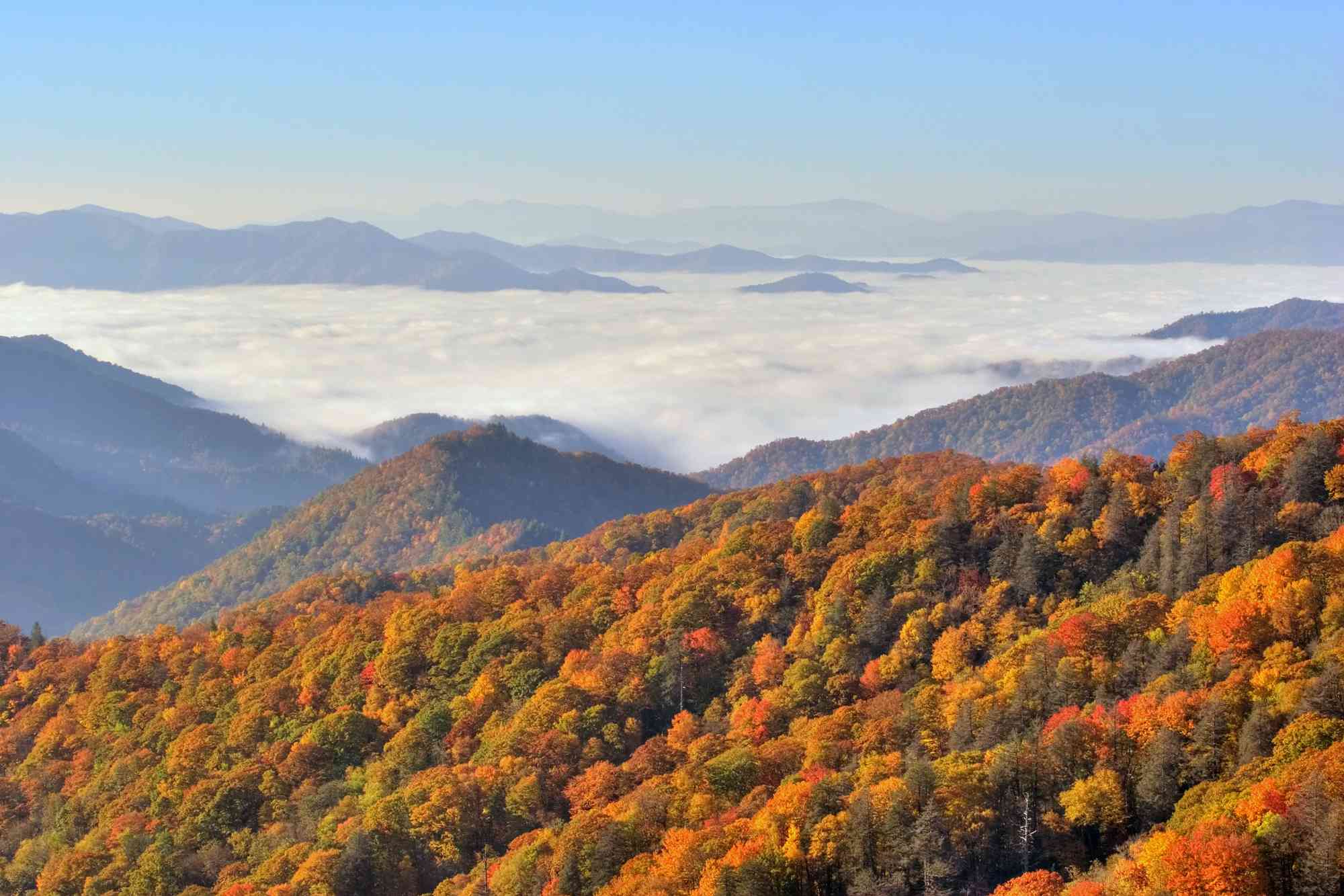 this small town in north carolina has fewer than 1,500 residents — and it's called the 'outdoor adventure capital of the great smoky mountains'