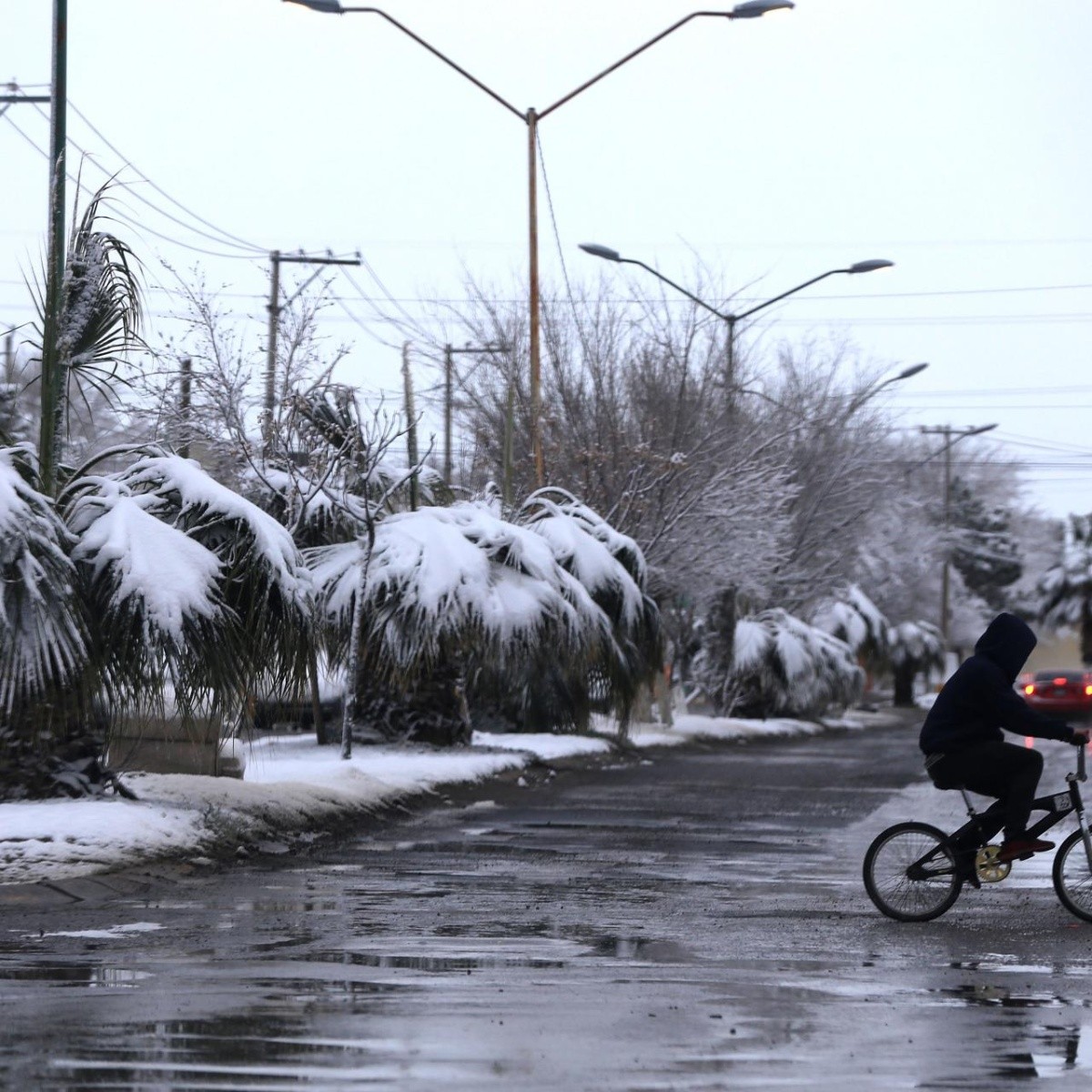 Clima En México: Advierten De Heladas Y Caída De Nieve En 10 Estados ...