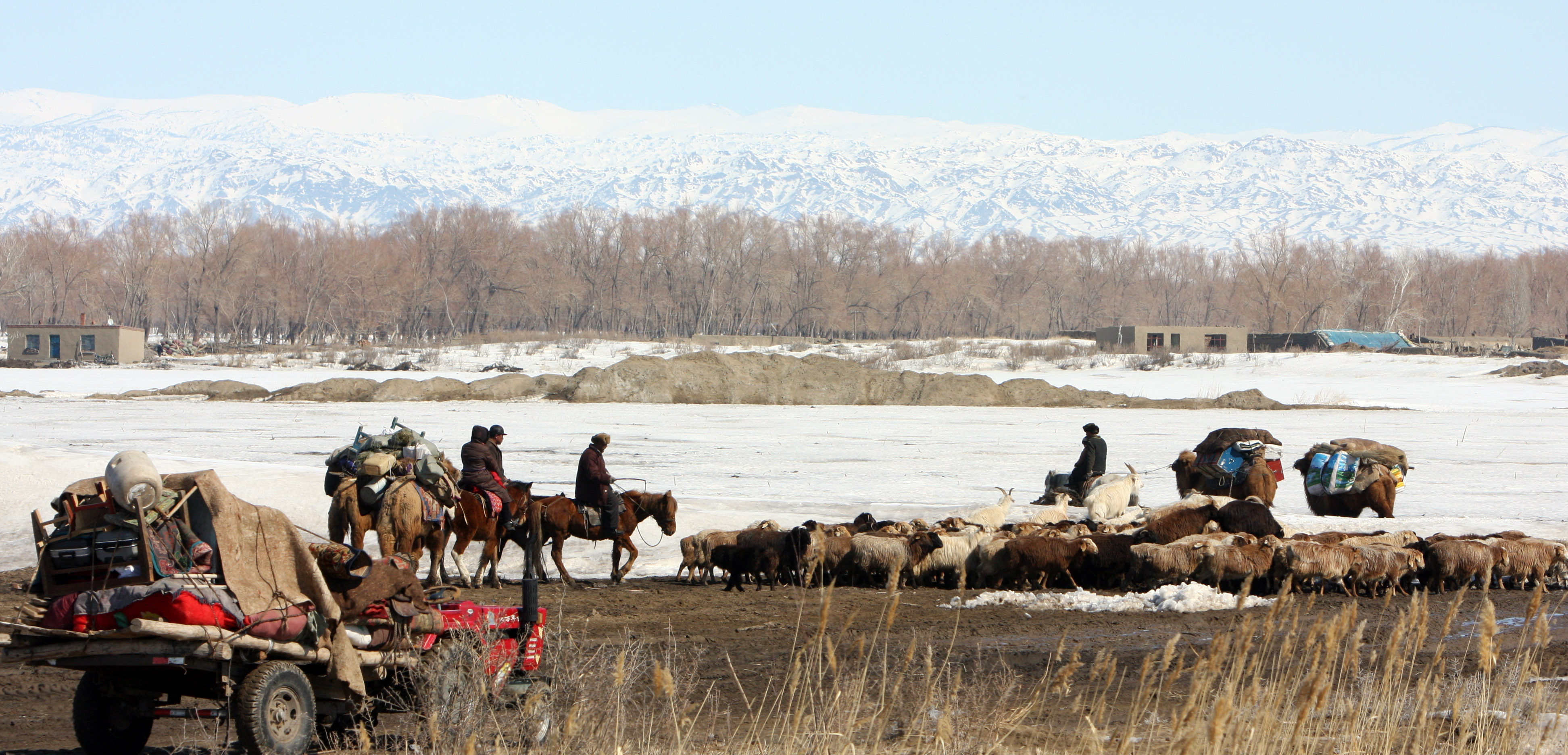 a bronzkori lovas nomádok terjesztették el a sclerosis multiplex genetikai faktorait észak-európában