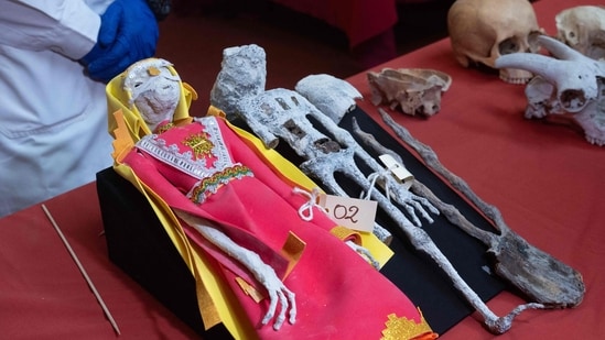 Peru ‘alien Mummies’ Were Hoax? Scientists Reveal Truth Behind Baffling ...