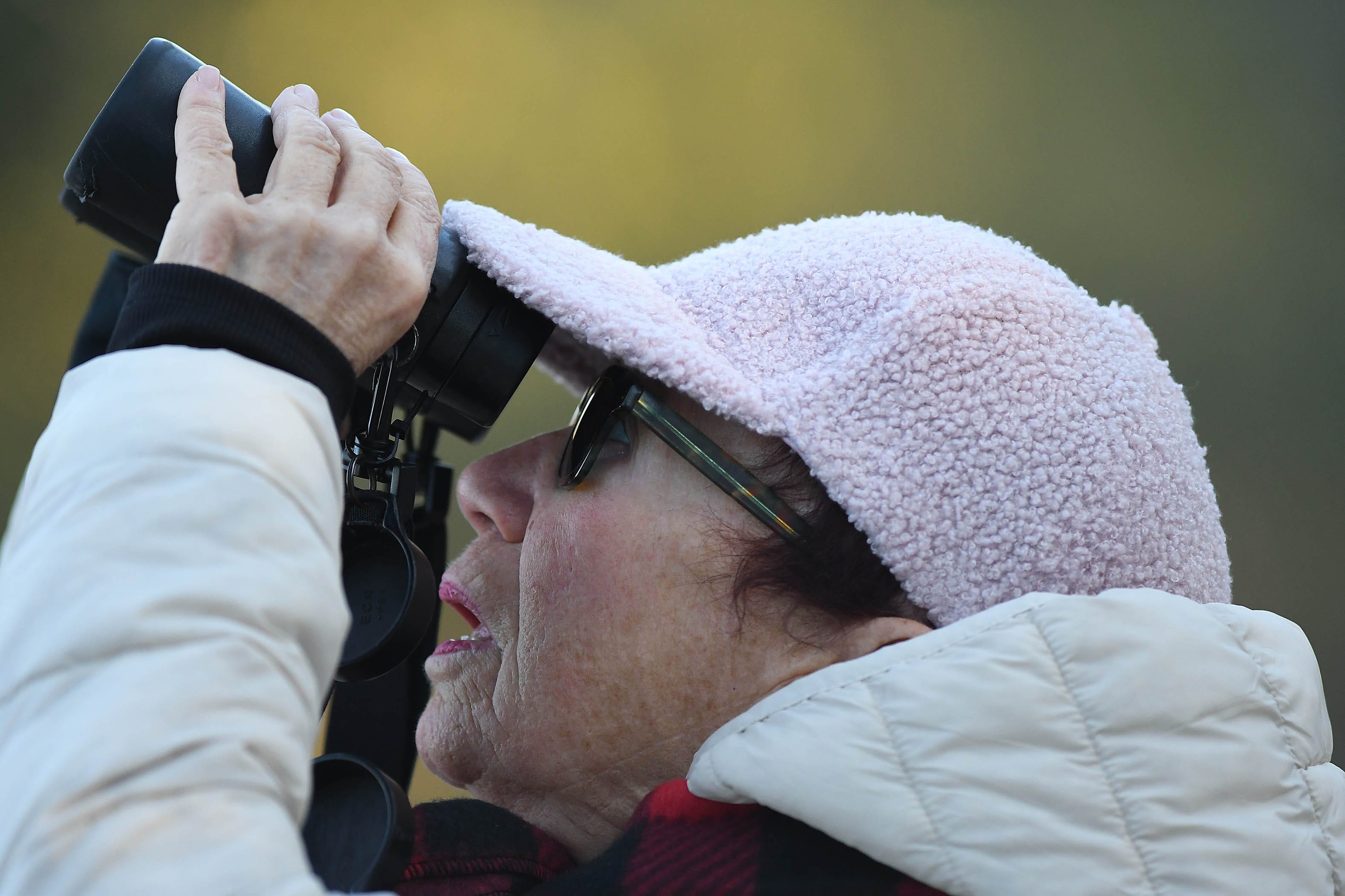 Want To Become A Birdwatcher In The Cape Fear? Here’s How To Get Started