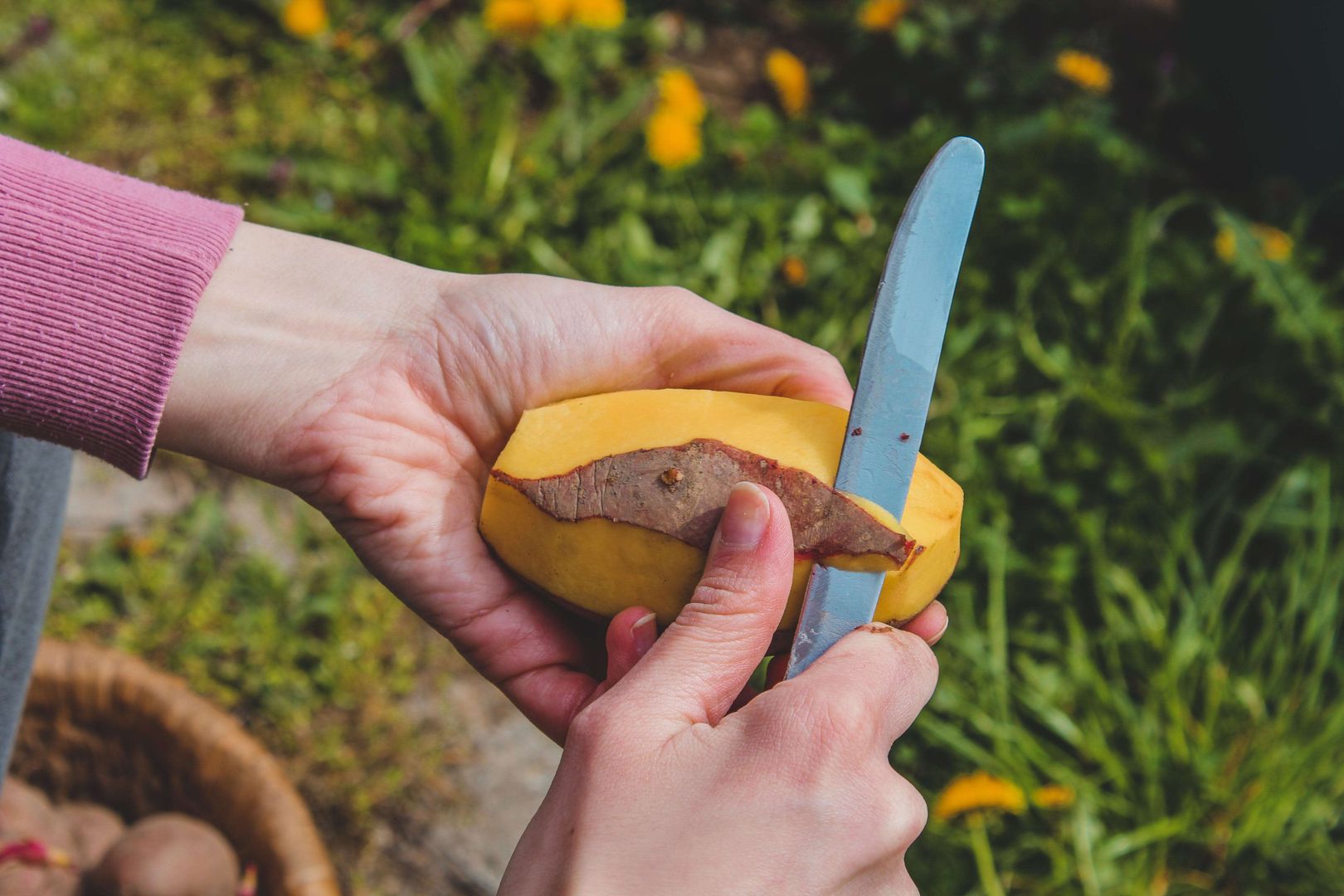 4 Fantastic DIY Ideas To Turn Potato Peels Into Valuable Resources   AA1mZvLt.img