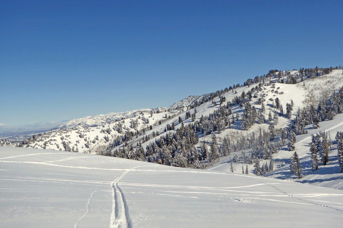 Utahs Powder Mountain Reopens Cat Skiing