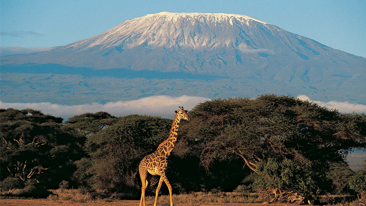 <p>  <h3><strong>ANSWERS:</strong></h3>   <ul> <li>Mount Olympus</li> <li>Mount Kilimanjaro</li> <li>Mount Kenya</li> <li>Mount Everest</li> </ul>  </p>