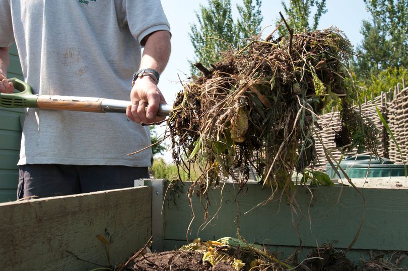 Gardening expert shares compost heap ‘mistakes’ which could attract