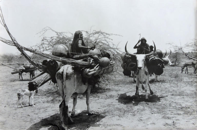Mauritaanse nomadenvrouwen op weg naar het volgende kamp